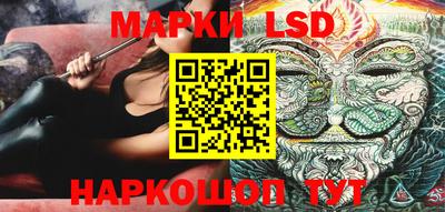 spice Новодвинск