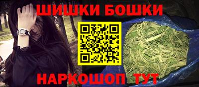 spice Новодвинск