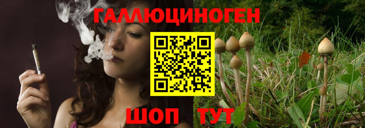 Псилоцибиновые грибы прущие грибы Тайшет