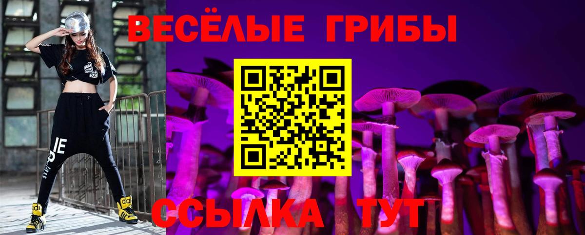 Галлюциногенные грибы Magic Shrooms  Вход с VPN  Тайшет  наркота  Галлюциногенные грибы мухоморы 